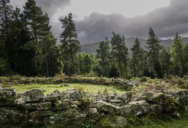 A stone circle in a forest 