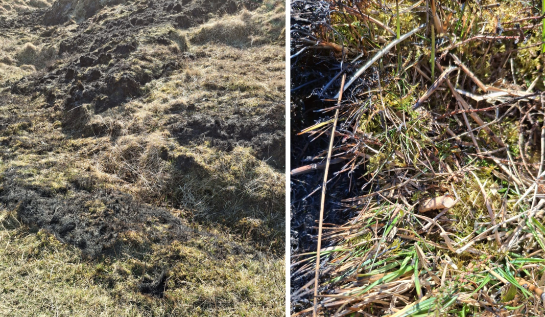 Two photos showing a grass fire possibly started by cigarette