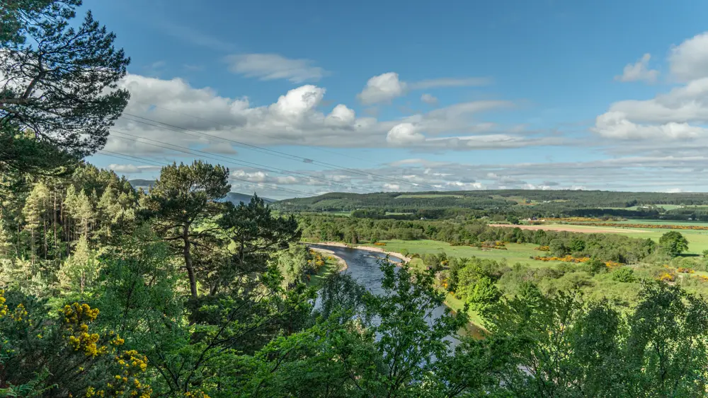 A view over a river through trees