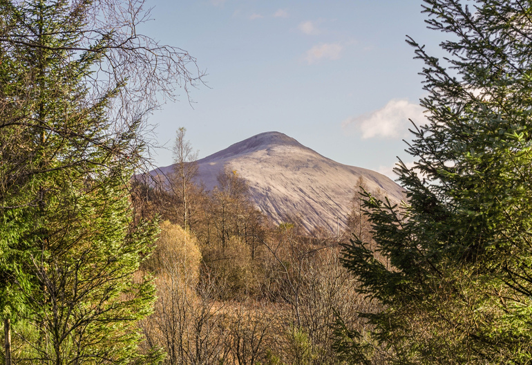 View of a mountain through trees