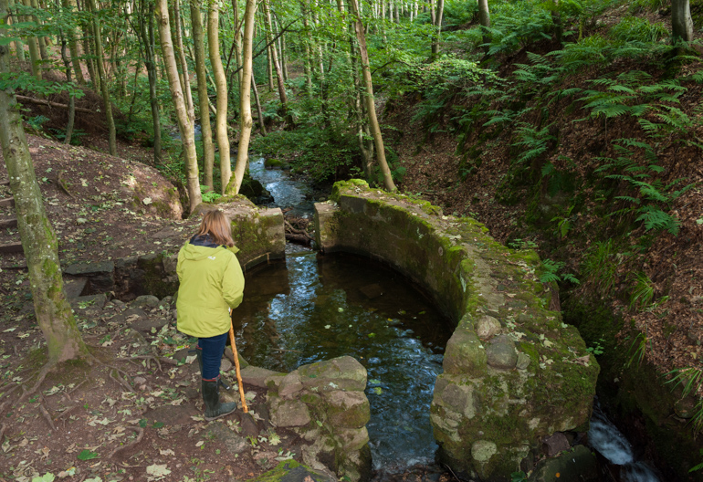  A woman in a yellow jacket looks down on a stone structure in a narrow river at Dunnottar Woods