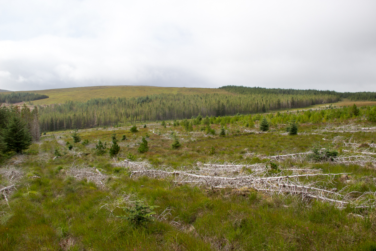 Craggie 2 general view from distance 3rd sept 2015 6176
