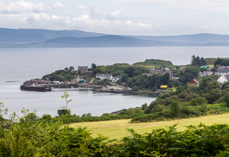 Ferns and trees around a field overlooking a small harbour with buildings and a pier