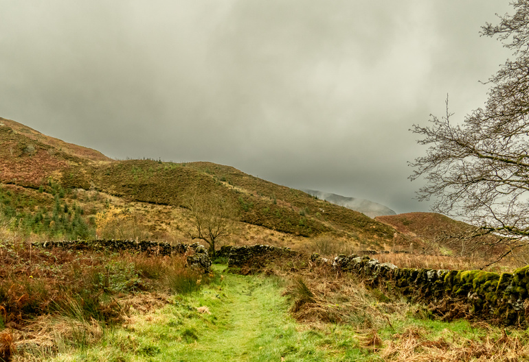 A stone wall at the foot of bare hills with trees in the foreground and mist 