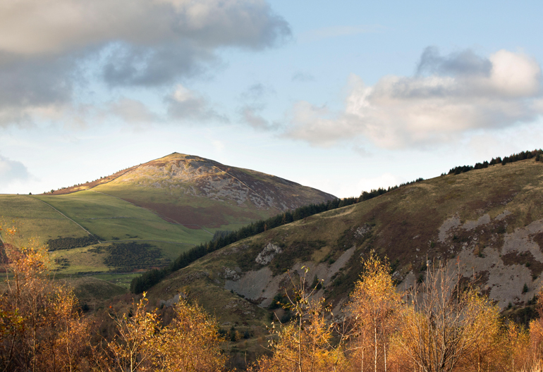 A view across treetops to hills