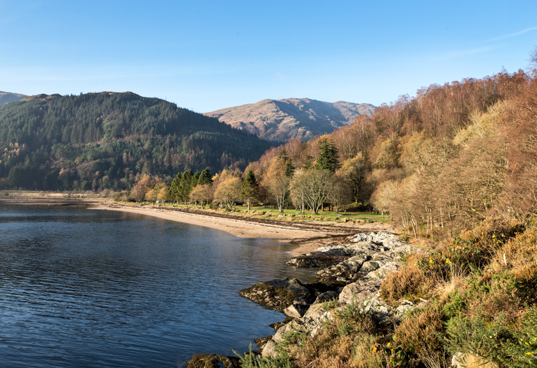 Loch Long, its shore and Arrochar Alps in distance, with a lush conifer forest in the backbround and broadleafs just behind the beach