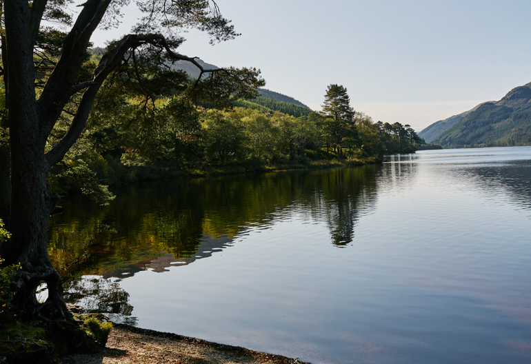 A loch surrounded by conifer woodland