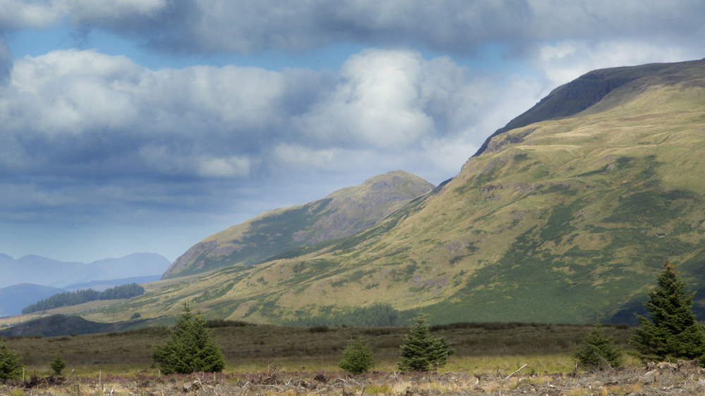 Some trees in the foreground on a harvested site with hills in the background.