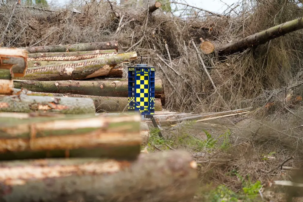 security camera in a wood pile