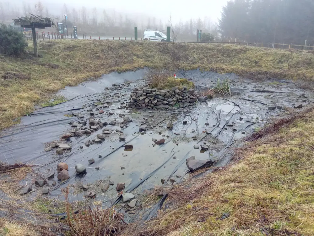 Drained pond with man-made stone island in the centre, surrounded by yellow grasses