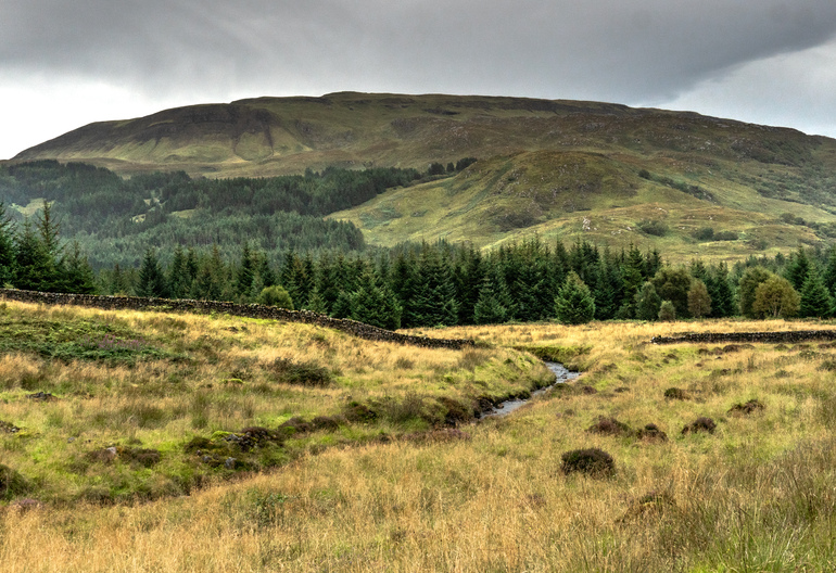 A burn in a meadow with trees, a stone wall and a mountain behind it