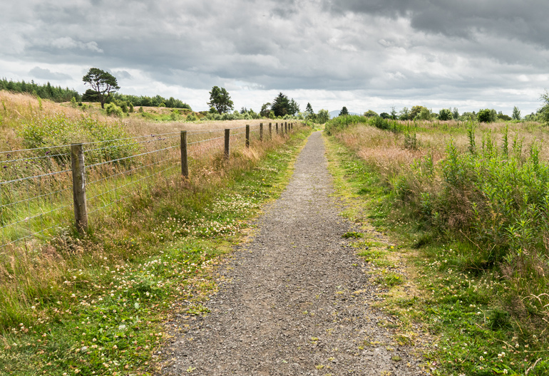 A gravel walking trail through a meadow