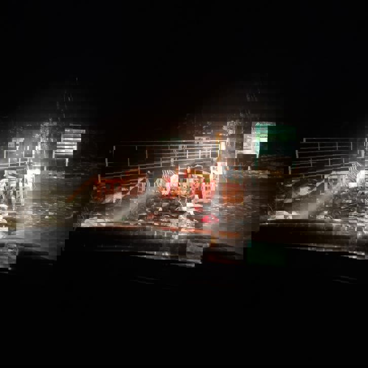 A pile of garbage outside a forest gate at night