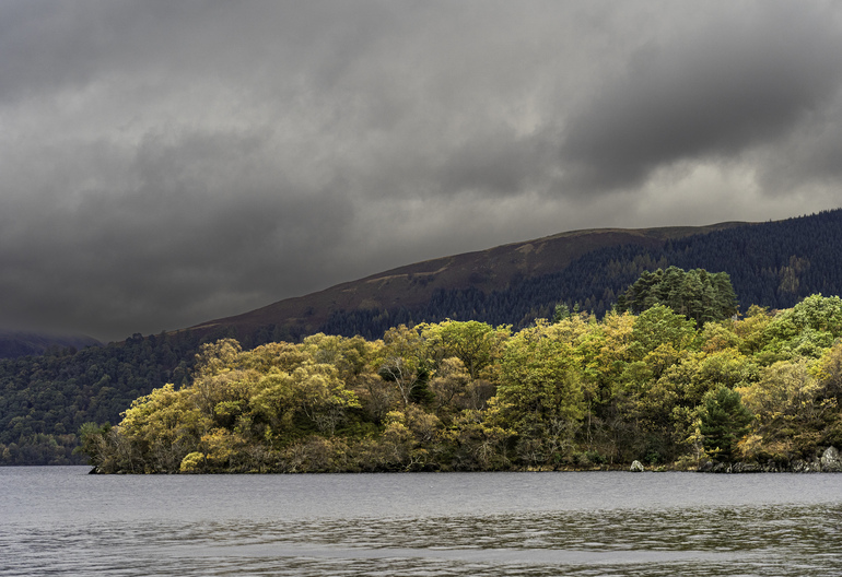 A broadleaf shoreline in autumn with calm water