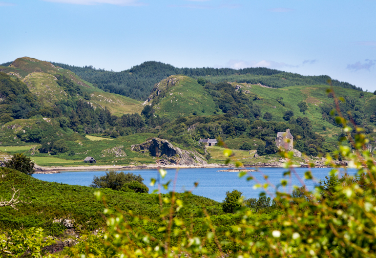 View through broadleaf trees to the loch with a large wooded mountain range in the background.