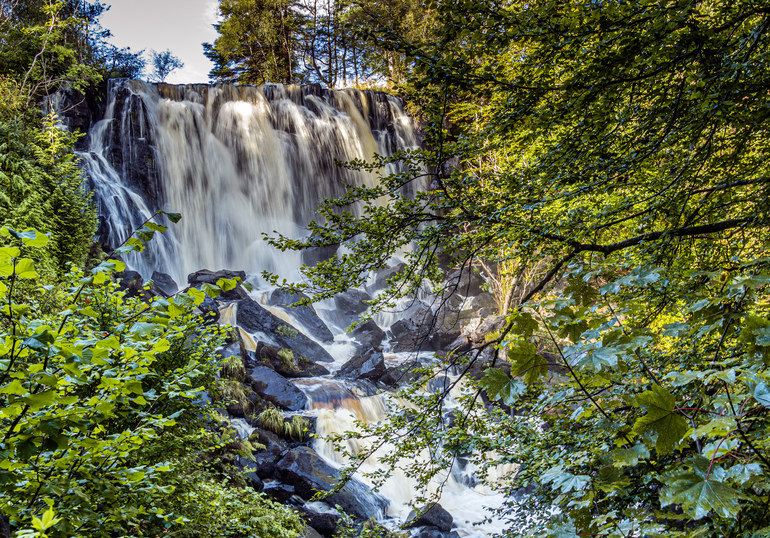 A waterfall in a mixed broadleaf forest
