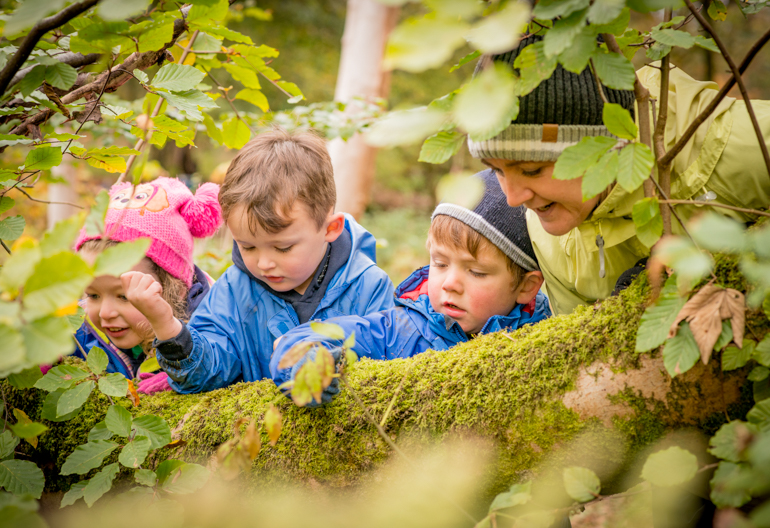 Young girl, young boys and teacher inspect moss covered log, Rannoch Wood, Renfrewshire Woods, near Johnstone