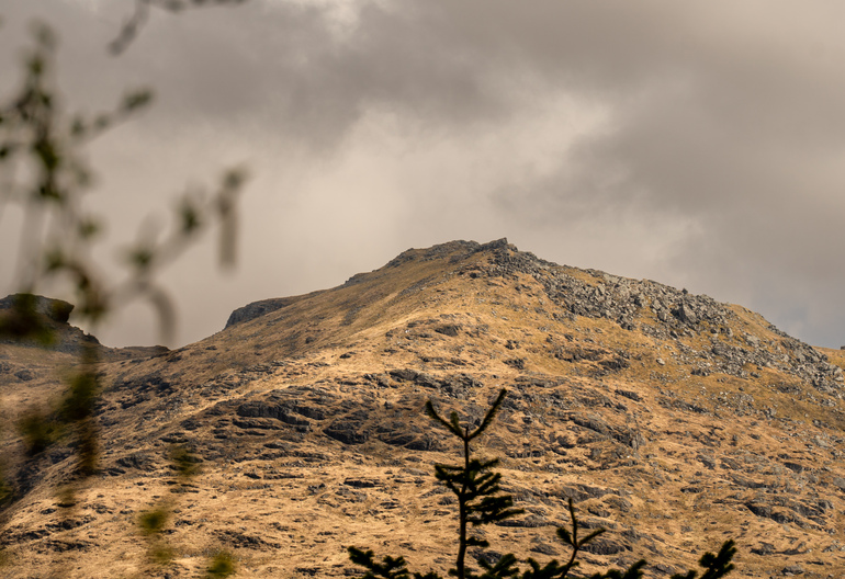 A hillside with trees in front 