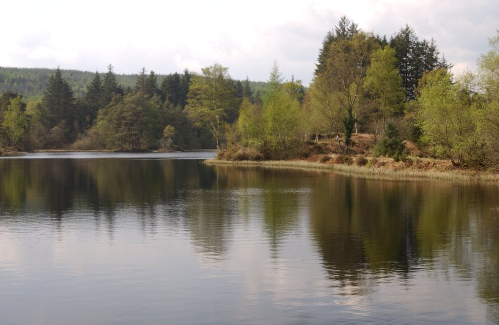 View over a still loch