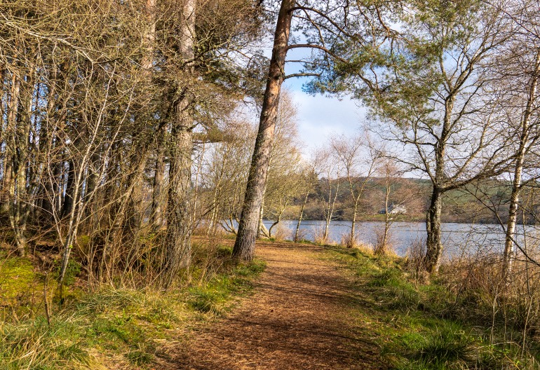 A forest path next to a loch